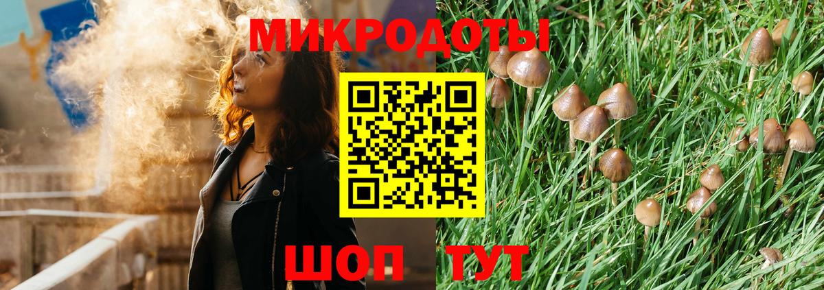 что такое   Вход с VPN  Кольчугино  Псилоцибиновые грибы Psilocybine cubensis  Галлюциногенные грибы прущие грибы 
