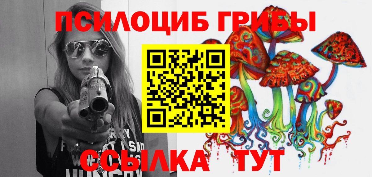 Галлюциногенные грибы Psilocybe Кольчугино